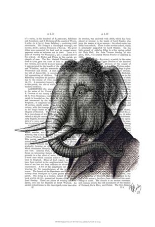 Elephant Portrait by Fab Funky art print