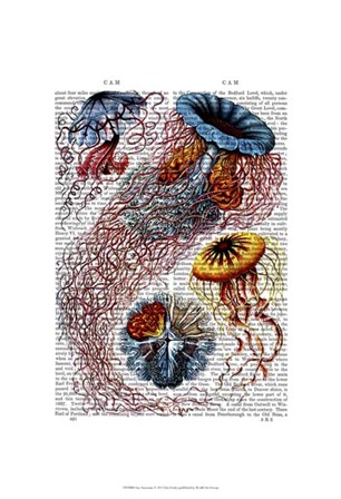 Sea Anemone by Fab Funky art print
