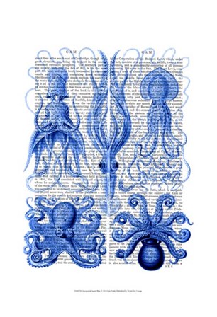 Octopus &amp; Squid Blue by Fab Funky art print