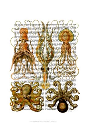 Octopus and squid by Fab Funky art print