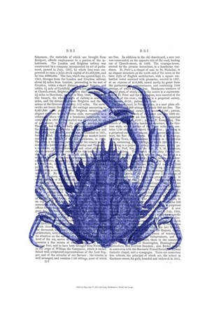 Blue Crab by Fab Funky art print