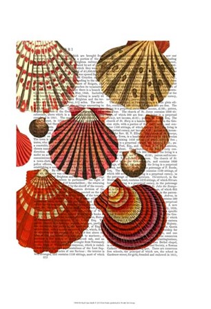 Red Clam Shells by Fab Funky art print