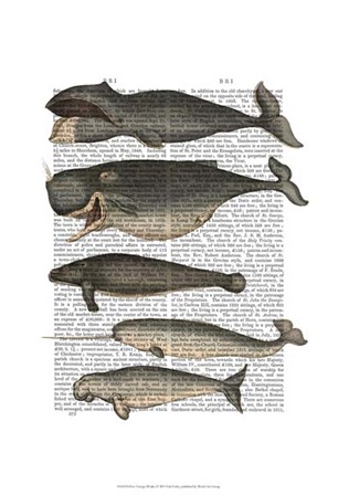 Five Vintage Whales by Fab Funky art print