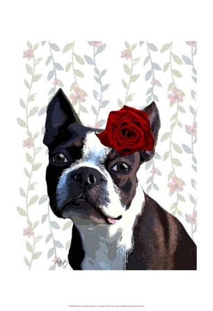 Boston Terrier with Rose on Head by Fab Funky art print