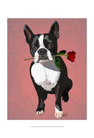 Boston Terrier with Rose in Mouth by Fab Funky art print