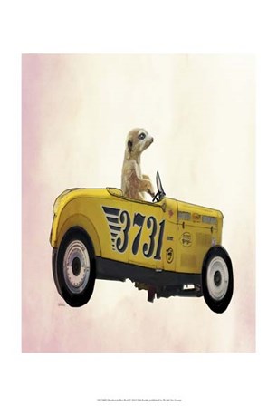 Meerkat in Hot Rod by Fab Funky art print