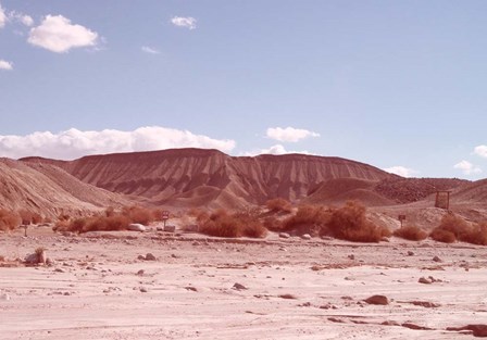 Anza Borrego Desert by Naxart art print