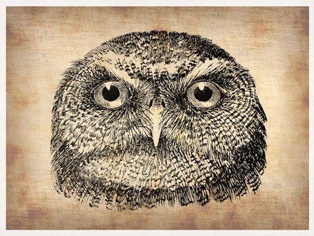 Vintage Owl Face by Irina March Naxart Studio art print