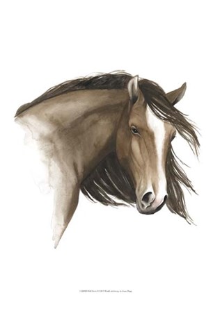 Wild Horse I by Grace Popp art print