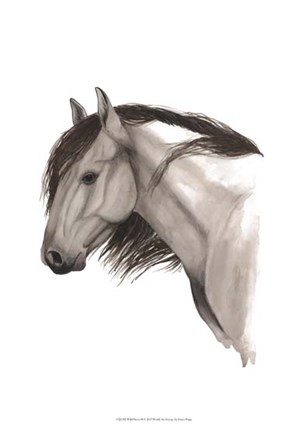 Wild Horse II by Grace Popp art print
