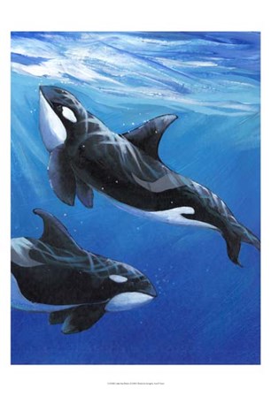 Under Sea Whales II by Timothy O&#39;Toole art print