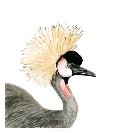 Watercolor Crested Crane by Naomi McCavitt art print