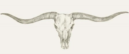 Western Skull Mount III by Ethan Harper art print