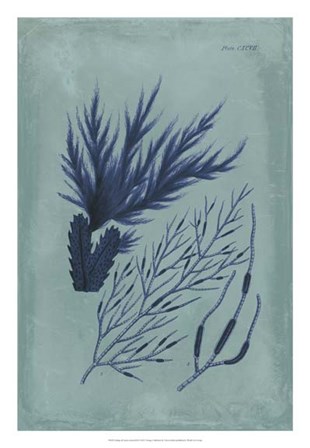 Indigo &amp; Azure Seaweed II by Vision Studio art print