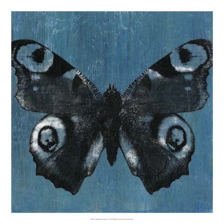 Chambray Butterflies I by Naomi McCavitt art print
