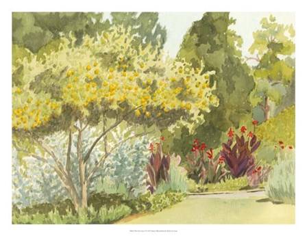 Plein Air Garden VI by Dianne Miller art print