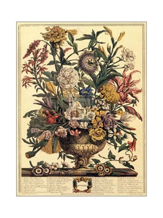 September/Twelve Months of Flowers, 1730 by Robert Furber art print