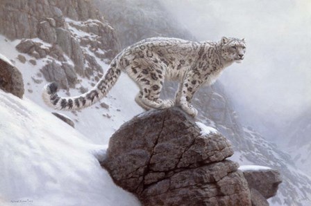 Winter's Veil by Richard Burns art print