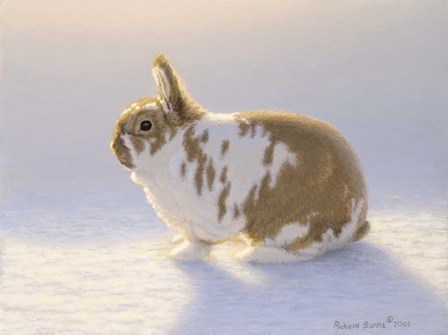 The Princess by Richard Burns art print