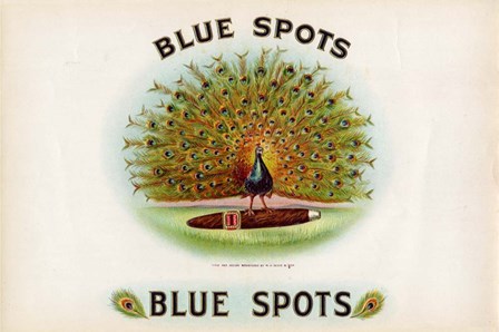 Blue Spots by Art of the Cigar art print