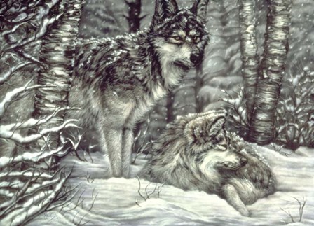 Bedding Down by Jenny Newland art print