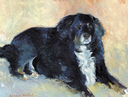 Harley by Richard Wallich art print