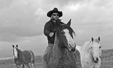 My Cowboy Rides Bareback by Amanda Lee Smith art print