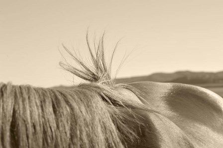 Bareback Hold by Amanda Lee Smith art print