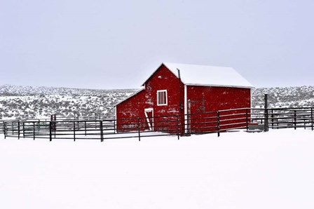 Red Barn In Winter by Amanda Lee Smith art print