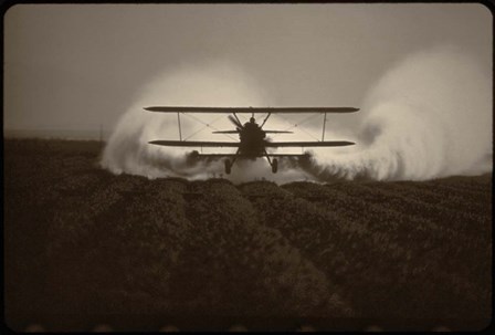 Crop Duster I by American Eyes art print