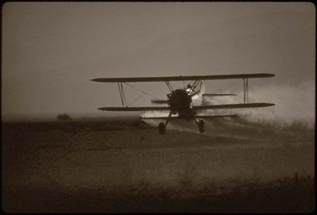 Crop Duster II by American Eyes art print