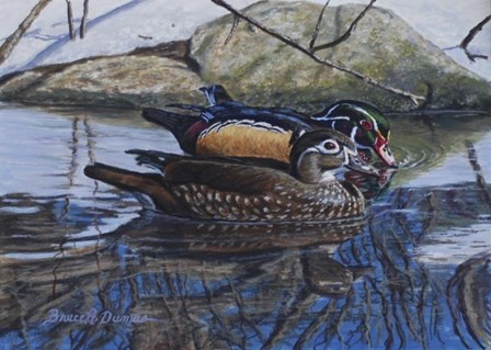 Spring Thaw Woodies by Bruce Dumas art print