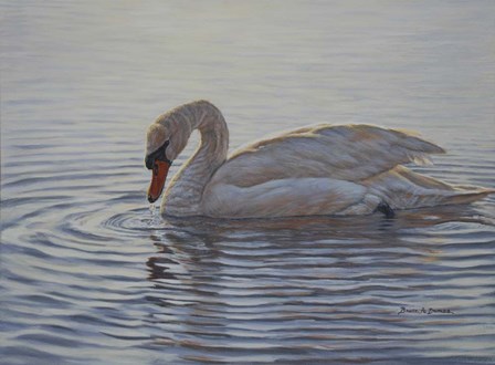 Dribbling Swan by Bruce Dumas art print