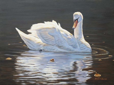 Illuminated Swan by Bruce Dumas art print