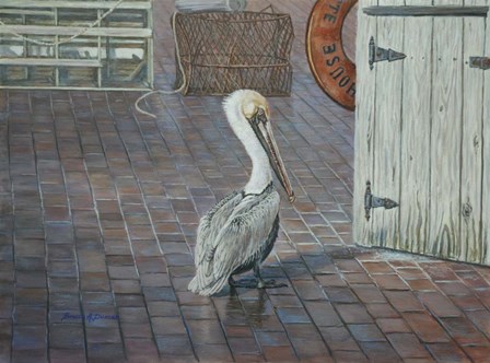 Petes' Pelican by Bruce Dumas art print