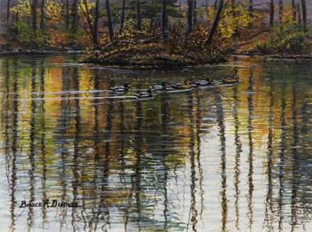 Autumn Mallards 1 by Bruce Dumas art print
