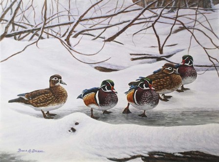 Winter Wood Ducks by Bruce Dumas art print