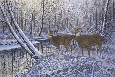 On Alert by Bruce Dumas art print