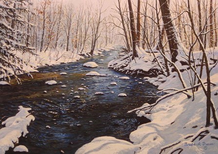 Quinnipiac River Solitude by Bruce Dumas art print