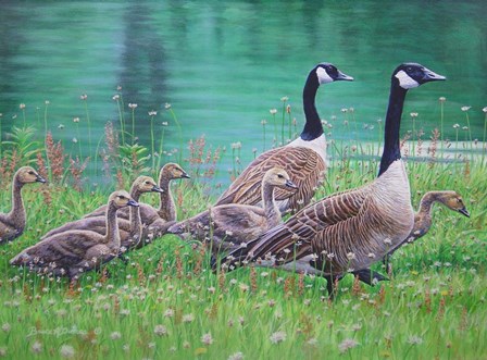 Goose Family Outing by Bruce Dumas art print