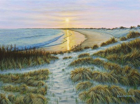 Watch Hill Sunset by Bruce Dumas art print