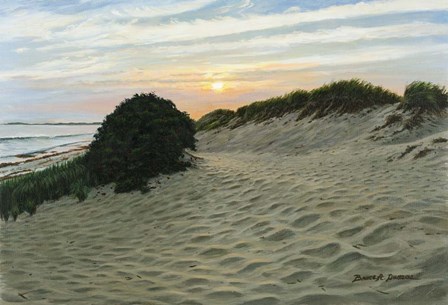 Dune Walk by Bruce Dumas art print