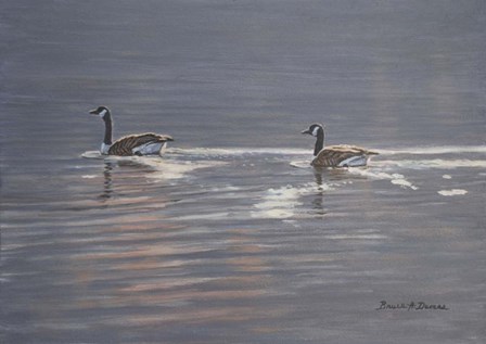 Refracted Light by Bruce Dumas art print