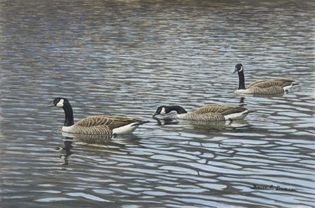 Follow Me by Bruce Dumas art print