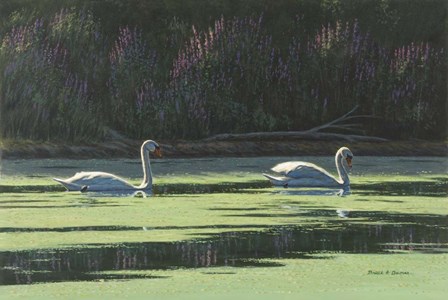 Lovers Cruise by Bruce Dumas art print