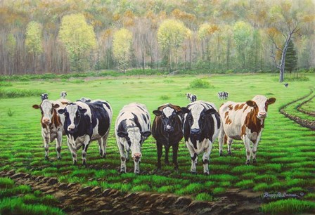 Curious Cows by Bruce Dumas art print