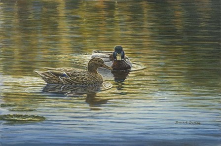 Together Forever by Bruce Dumas art print