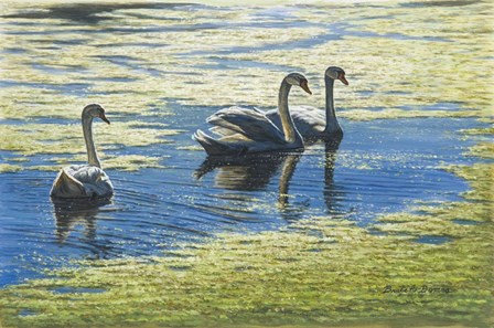 Three's Company by Bruce Dumas art print