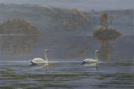 Misty Morning by Bruce Dumas art print