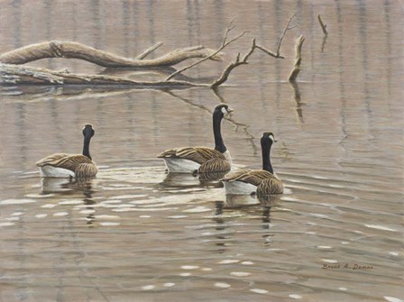 Early Spring Geese Trio by Bruce Dumas art print